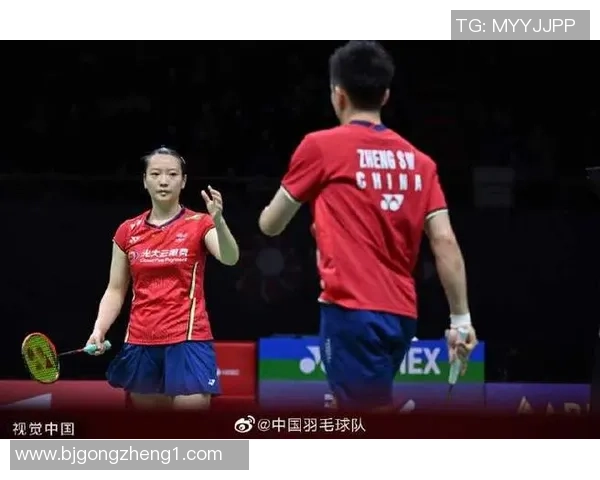 南京羽毛球队与重庆羽毛球队赛后技术分析与战术总结
