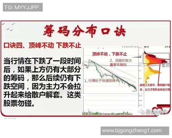 深入分析上海篮球队反击战术的关键要素与实战应用